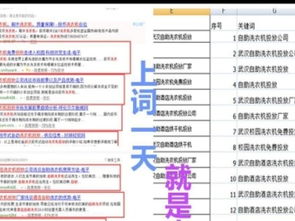 國慶獻禮，濃情回饋 網站建設698元限時搶購，助力武漢產品供應加工企業騰飛